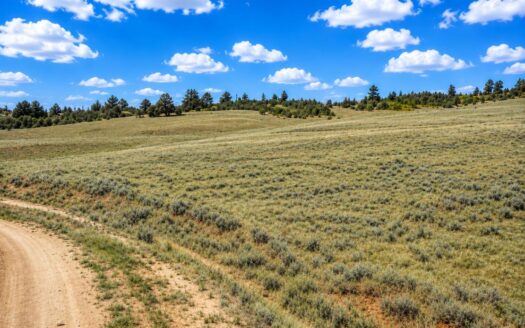 3 Acres Camp or Build Beautiful Affordable Mountain Lot, Como, CO 80432