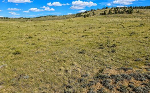 3 Acres Camp or Build Beautiful Affordable Mountain Lot, Como, CO 80432