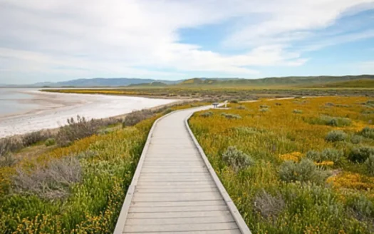 2.5 Acres to Build or Invest near Soda Lake, Santa Margarita, CA 93453