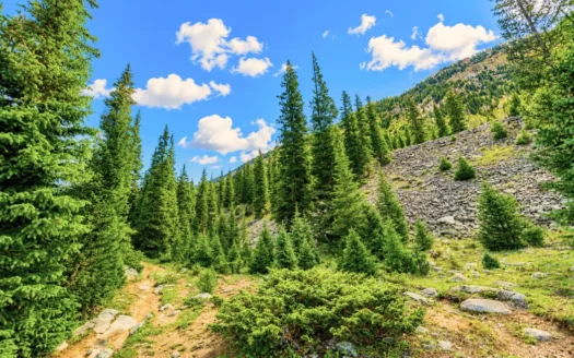 10.33 Acres Mountain Hunting Land in Gunnison, Colorado 81230