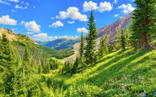 10.33 Acres Mountain Hunting Land in Gunnison, Colorado 81230