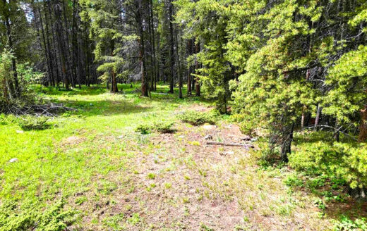 7.97 Acres Lot next to Creek and National Forest, Whitepine, Colorado
