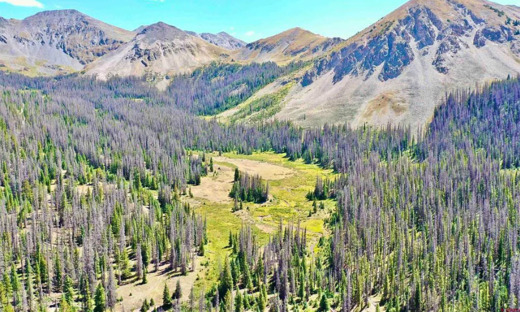 7.97 Acres Lot next to Creek and National Forest, Whitepine, Colorado