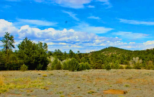 2.49 Acres Colorado Treed Land to Build or Invest, Cotopaxi, CO 81223