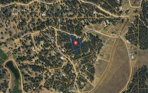 0.83 Acres Mountain Lot with Trees, Road and Power to Build, Florissant, CO 80816