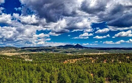 0.83 Acres Mountain Lot with Trees, Road and Power to Build, Florissant, CO 80816