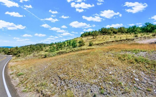 2.47 Acre Mountain Lot near County Road, Cotopaxi, CO 81223