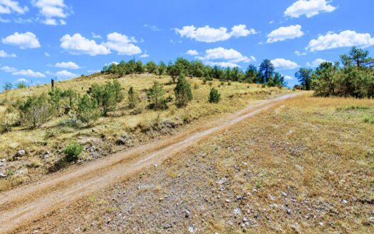 2.47 Acre Mountain Lot near County Road, Cotopaxi, CO 81223