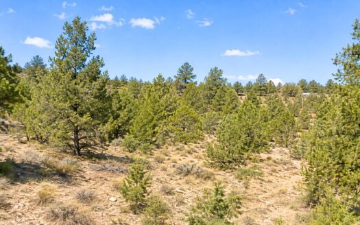2.49 Acres Colorado Treed Land to Build or Invest, Cotopaxi, CO 81223