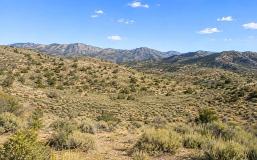 2.49 Acres Colorado Treed Land to Build or Invest, Cotopaxi, CO 81223