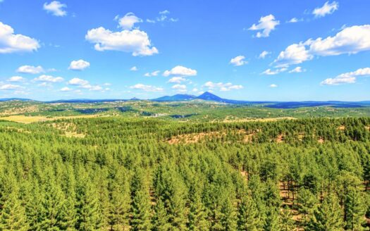 0.83 Acres Mountain Lot with Trees, Road and Power to Build, Florissant, CO
