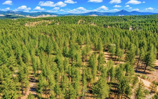 0.83 Acres Mountain Lot with Trees, Road and Power to Build, Florissant, CO