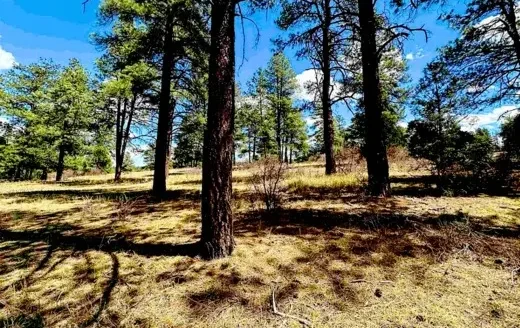 1.20 Acres Mountain Cabin Lot! Power Available! Pagosa Springs, CO 81147