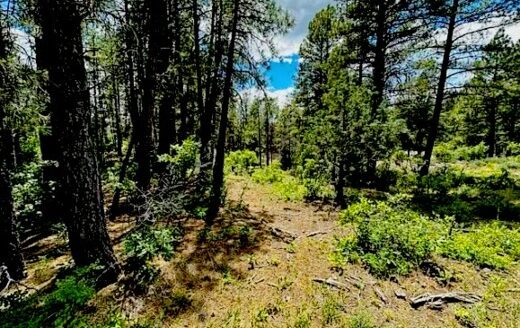 1.10 Acres Beautiful RV lot or Build Later Pagosa Springs, CO 81147