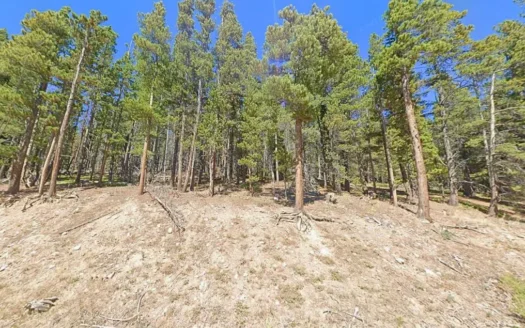 0.38 Acres Beautiful Mountain Lot to Invest, Idaho Springs, CO 80452