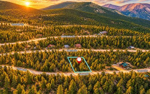 0.38-Acre Mountain Lot For Sale in Idaho Springs, CO | CheapLandFarm
