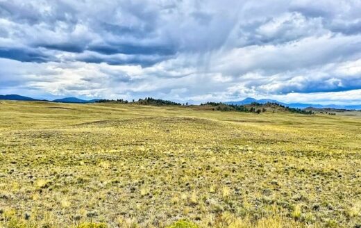 5 Acres-Camp Now, Build Later near Hartsel, Colorado