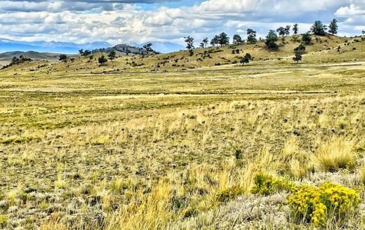5 Acres-Camp Now, Build Later near Hartsel, Colorado