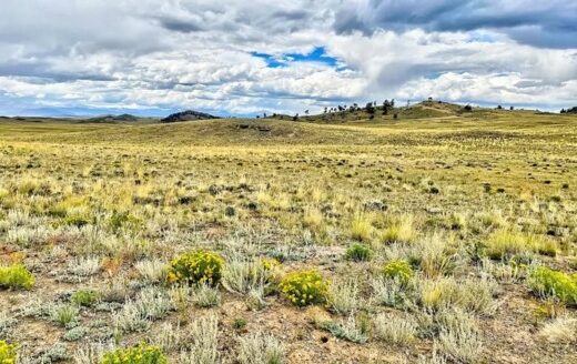 5 Acres-Camp Now, Build Later near Hartsel, Colorado