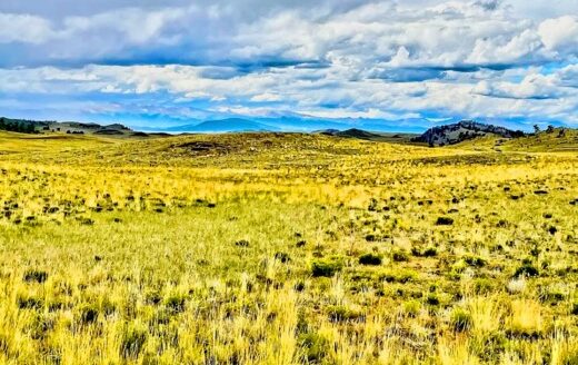 5 Acres for Camping or Future Building Near Hartsel, Colorado