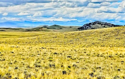 5 Acres for Camping or Future Building Near Hartsel, Colorado