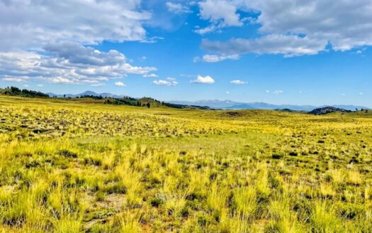 3.83-Acre Camp Now, Build Later Near Hartsel, Colorado