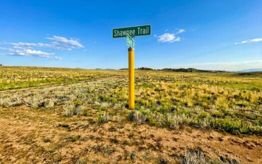 5 Acres-Camp Now, Build Later near Hartsel, Colorado