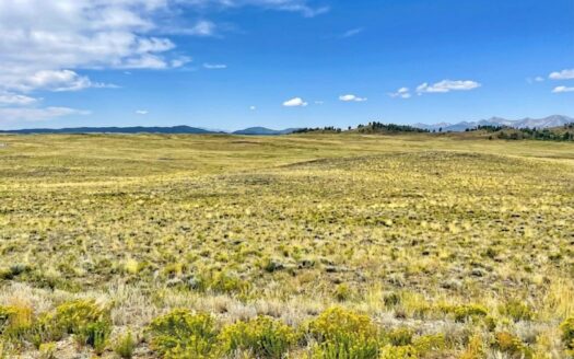 3.83-Acre Camp Now, Build Later Near Hartsel, Colorado