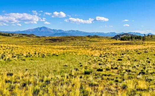 3.83-Acre Camp Now, Build Later Near Hartsel, Colorado