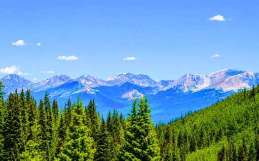 Pending-10.15 Acres Adjacent to National Forest with Seasonal Creek and Lake Access, Gunnison, CO 81210