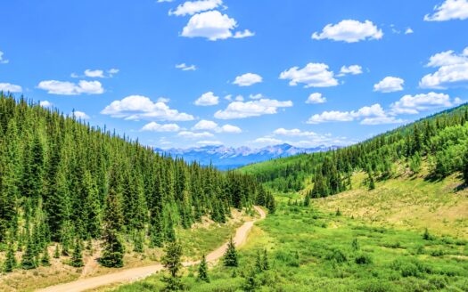 Pending-10.15 Acres Adjacent to National Forest with Seasonal Creek and Lake Access, Gunnison, CO 81210
