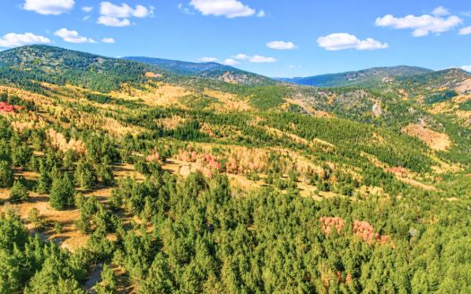 3.82 Acres Secluded Mountain Getaway near a Creek, Black Hawk, CO 80422