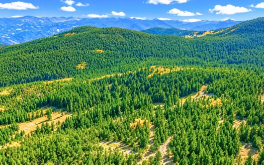 3.82 Acres Secluded Mountain Getaway near a Creek, Black Hawk, CO 80422