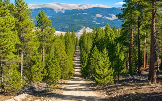 Scenic Twin Lakes Land for Sale! Perfect for Colorado Mountain Retreat!