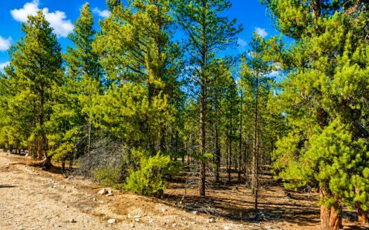 Scenic Twin Lakes Land for Sale! Perfect for Colorado Mountain Retreat!