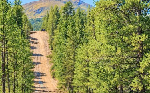 0.30 Acres Paradise Land to Build near Twin Lakes, CO 81251