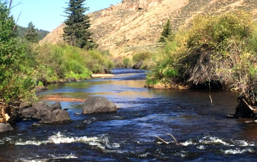 7.97 Acres Lot next to Creek and National Forest, Whitepine, Colorado