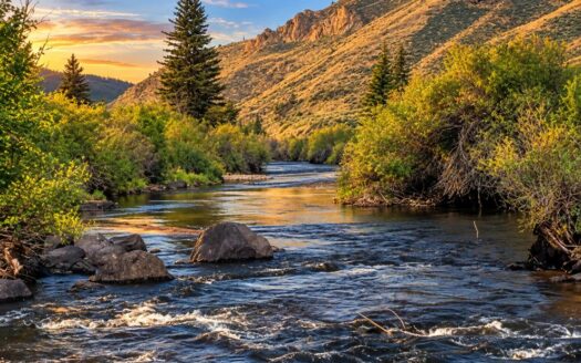 7.97 Acres Lot next to Creek and National Forest, Whitepine, Colorado
