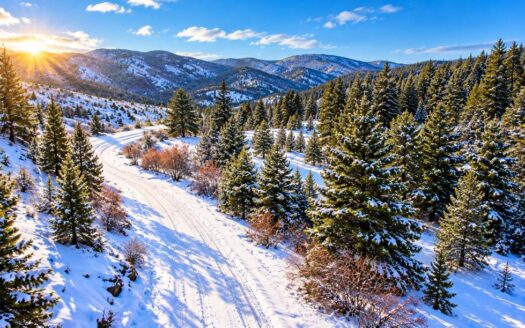 5.17 Acres Hunting, Camping Getaway near Black Hawk, CO 80422