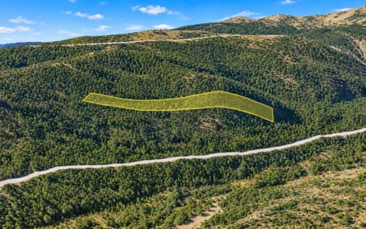5.17 Acres Hunting, Camping Getaway near Black Hawk, CO 80422