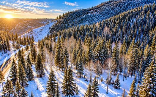 5.17 Acres Hunting, Camping Getaway near Black Hawk, CO 80422