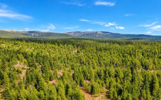 2.61 Acres Affordable Mountain Getaways, Cotopaxi, CO 81223