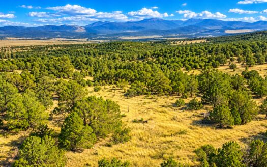 2.61 Acres Affordable Mountain Getaways, Cotopaxi, CO 81223