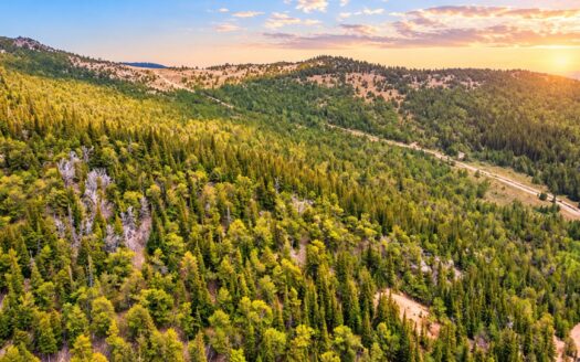 0.36 Acres Cabin Lot Next to Evergreen Forest near Lake Quivira, Idaho Springs, CO 80452