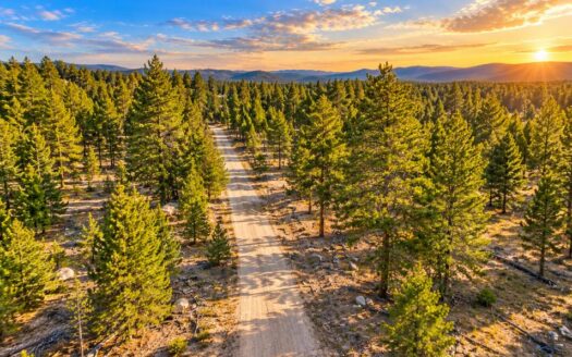 0.46 Acres Ready-to-Build Wooded Lot Just Minutes from Twin Lakes