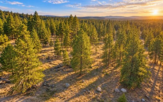 0.46 Acres Ready-to-Build Wooded Lot Just Minutes from Twin Lakes